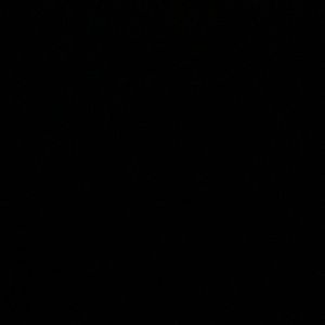 Meet your Posher, Janine